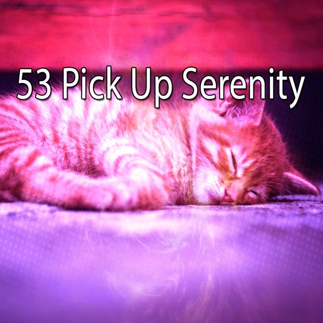 53 Pick up Serenity