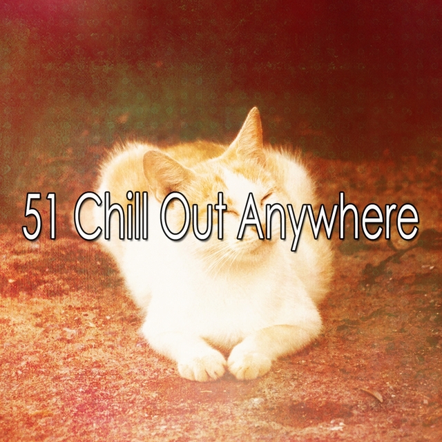 Couverture de 51 Chill out Anywhere