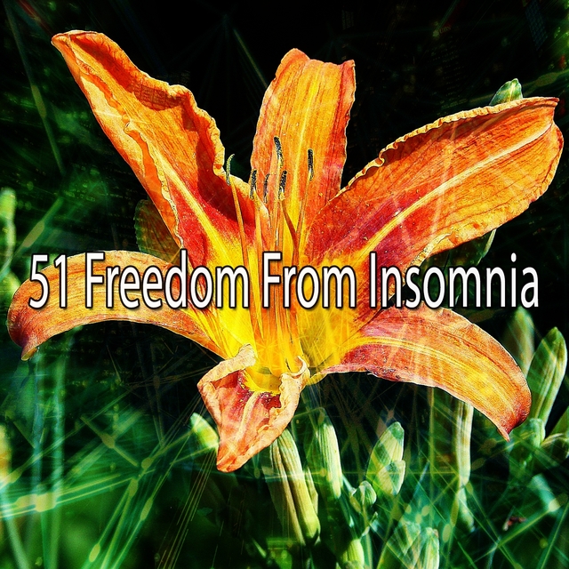 Couverture de 51 Freedom from Insomnia