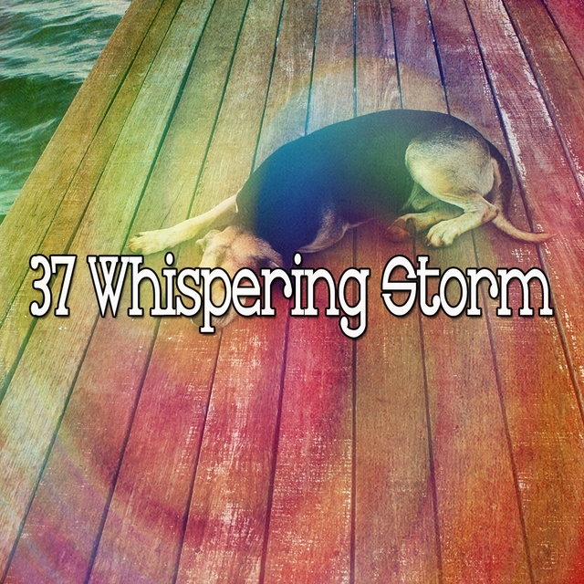 37 Whispering Storm