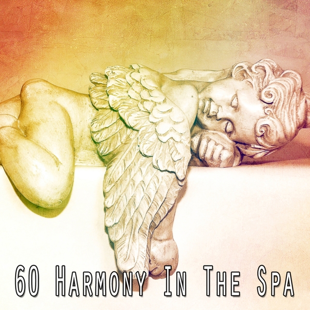 Couverture de 60 Harmony in the Spa