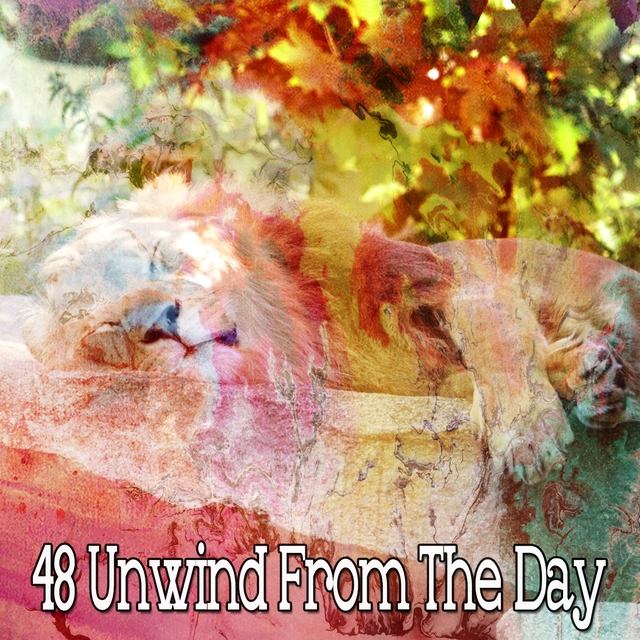 48 Unwind from the Day