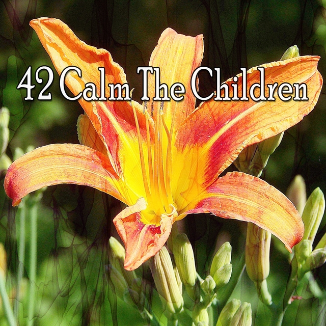 Couverture de 42 Calm the Children