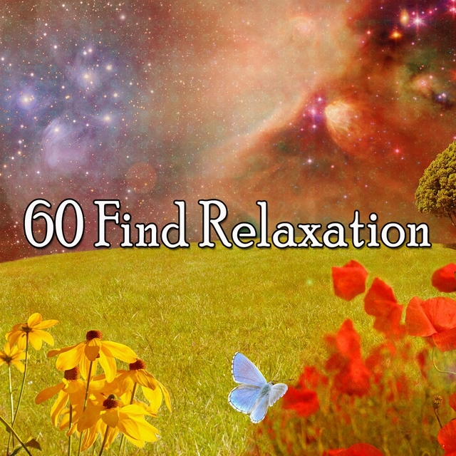 Couverture de 60 Find Relaxation