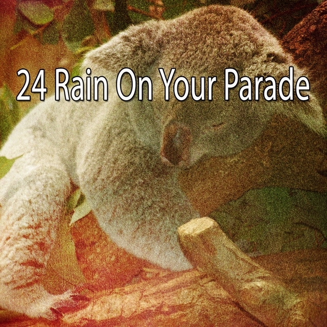 24 Rain on Your Parade