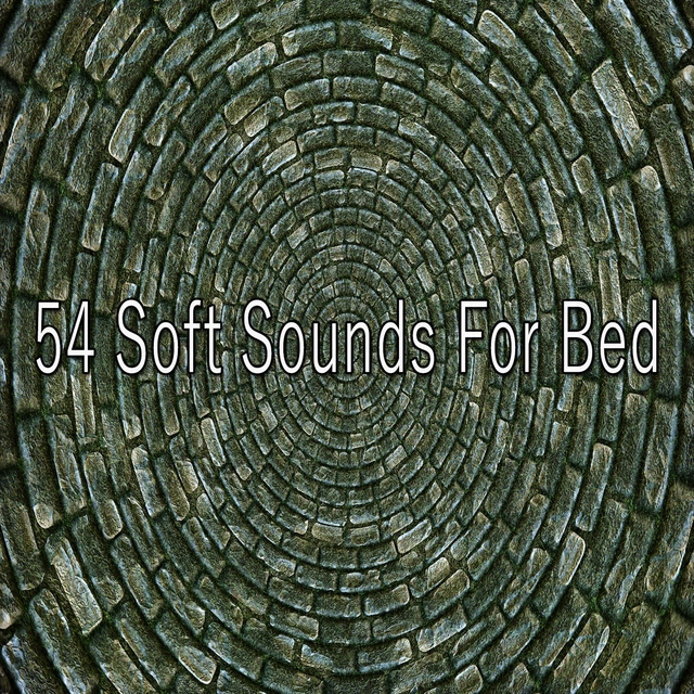 Couverture de 54 Soft Sounds for Bed