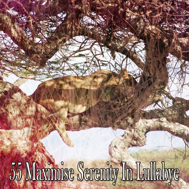 55 Maximise Serenity in Lullabye