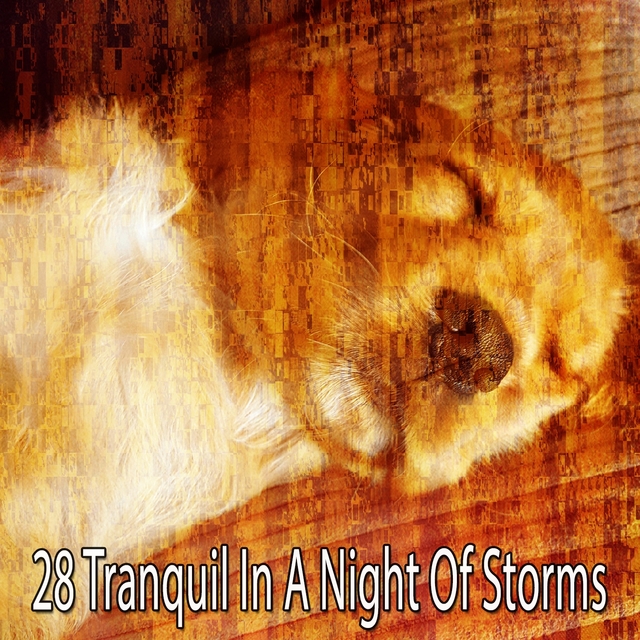 28 Tranquil in a Night of Storms