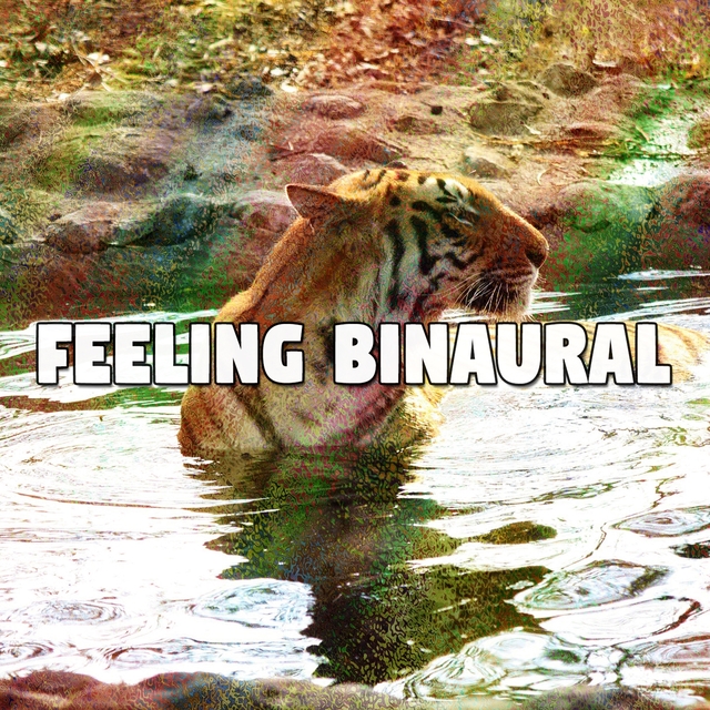 Feeling Binaural