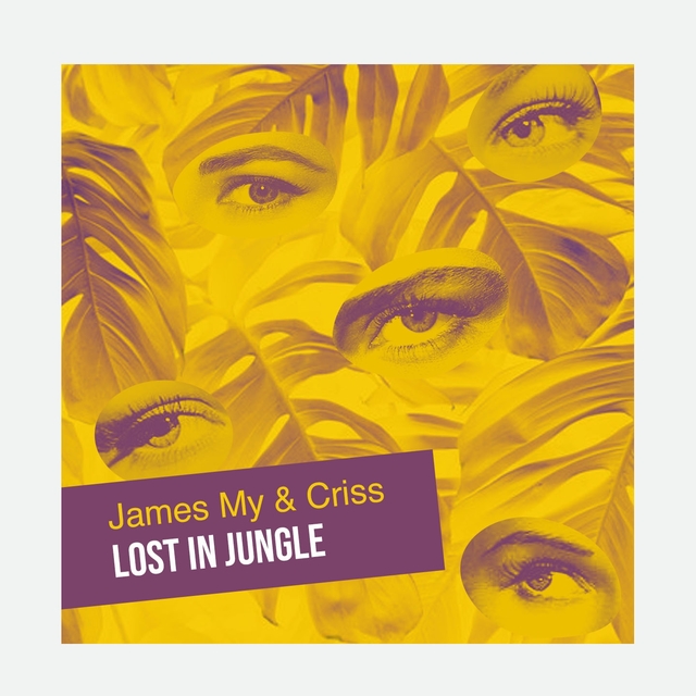 Couverture de Lost in Jungle