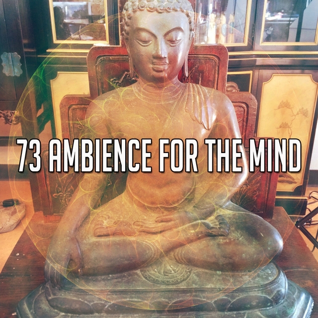 73 Ambience for the Mind