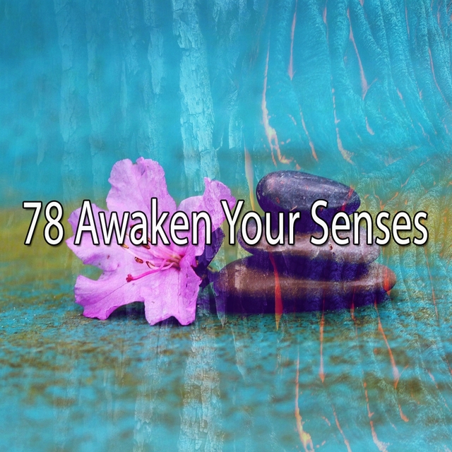 78 Awaken Your Senses