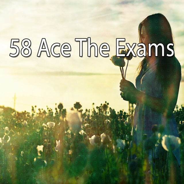 58 Ace the Exams