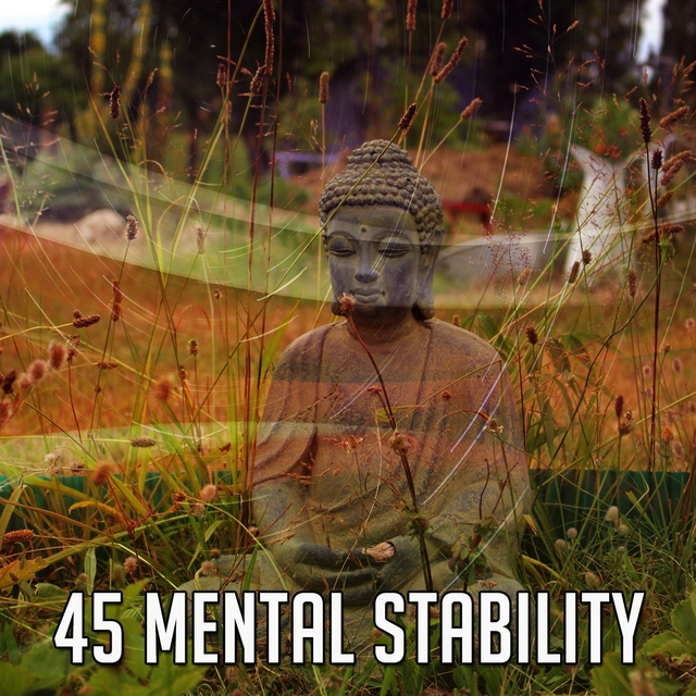 45 Mental Stability