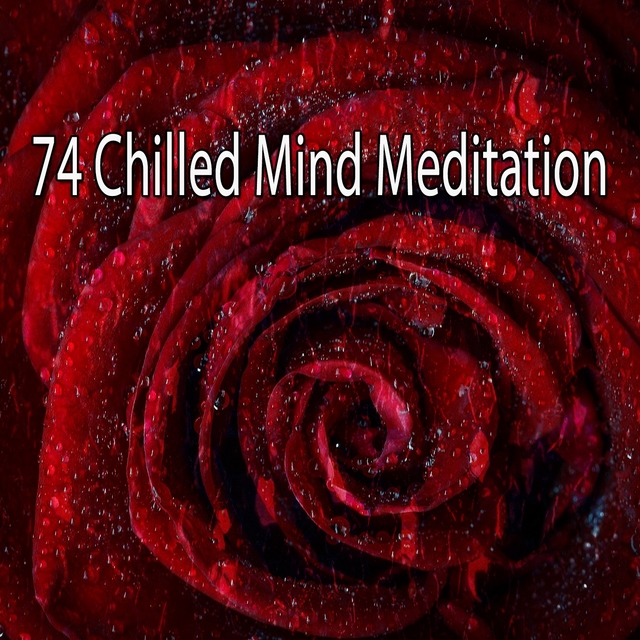 74 Chilled Mind Meditation