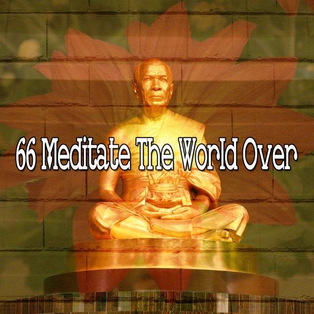 66 Meditate the World Over