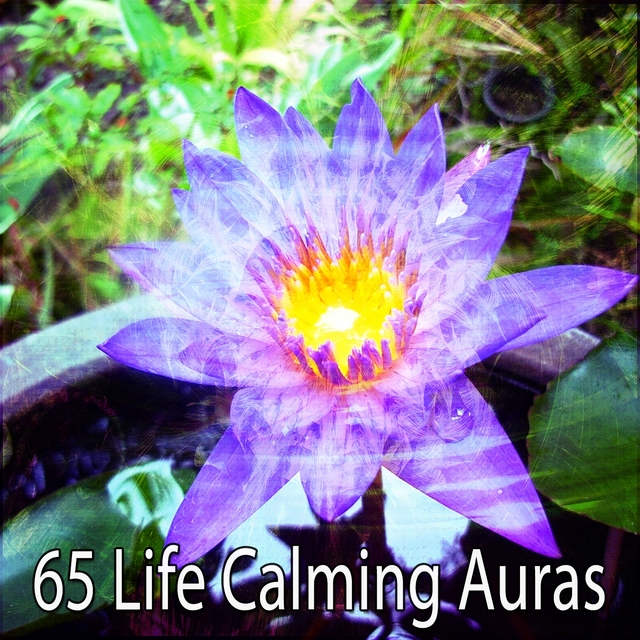 65 Life Calming Auras