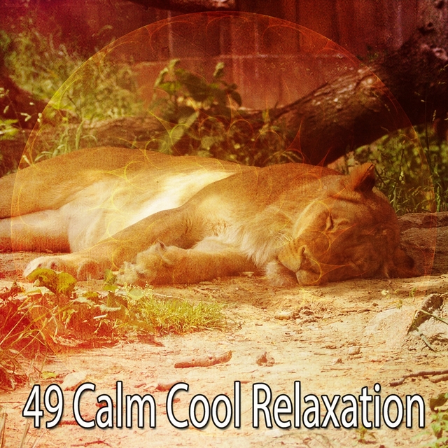 49 Calm Cool Relaxation