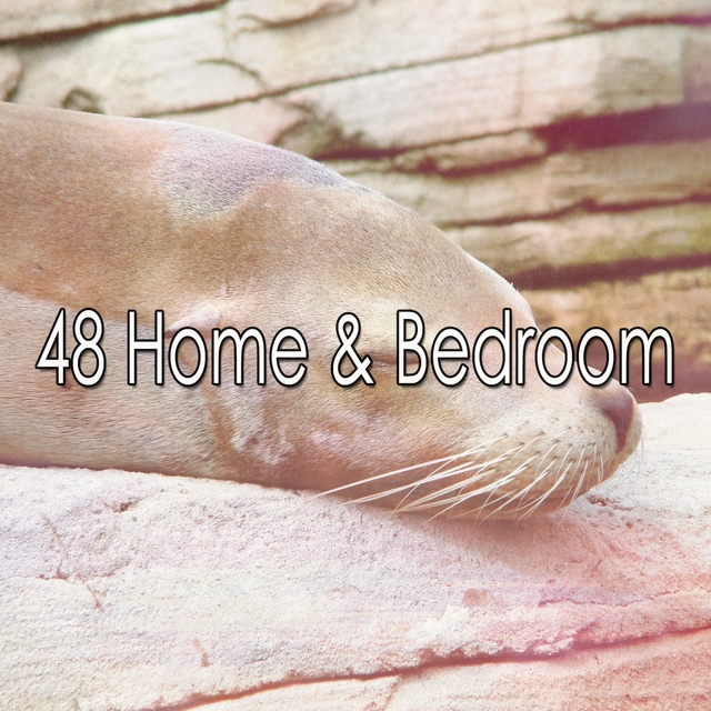 48 Home & Bedroom