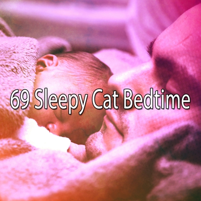 69 Sleepy Cat Bedtime