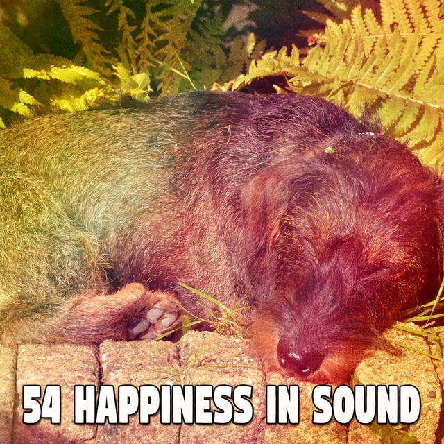 54 Happiness in Sound