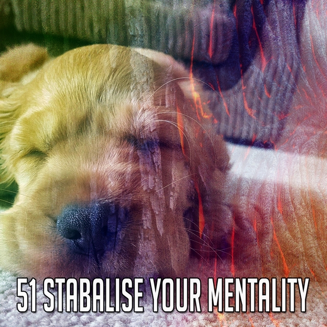 51 Stabalise Your Mentality