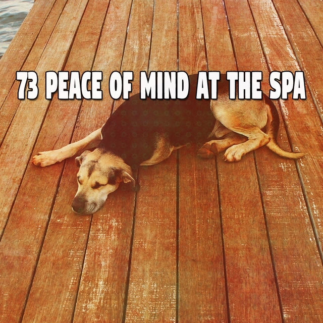 73 Peace of Mind at the Spa