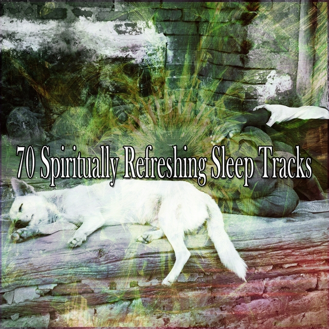 70 Spiritually Refreshing Sleep Tracks