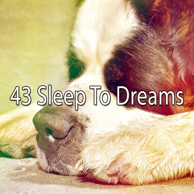 43 Sleep to Dreams