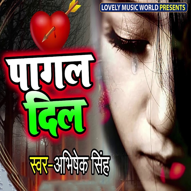 Couverture de Pagal Dil