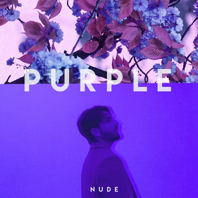 Couverture de Purple