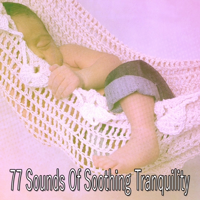 Couverture de 77 Sounds of Soothing Tranquility