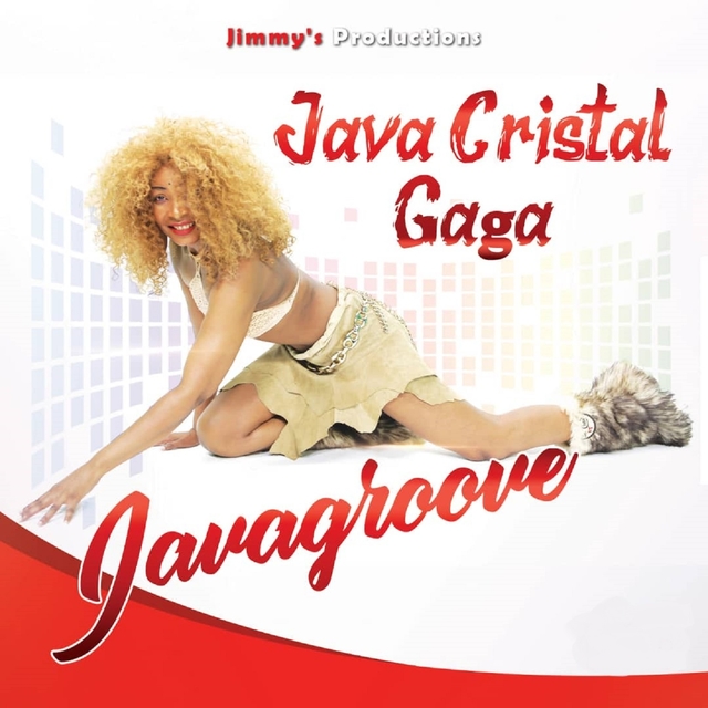 Couverture de Javagroove