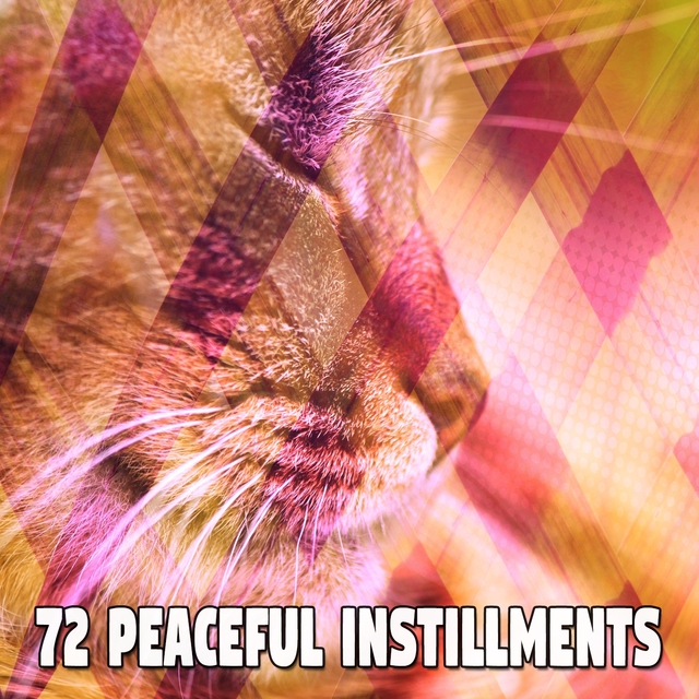 72 Peaceful Instillments