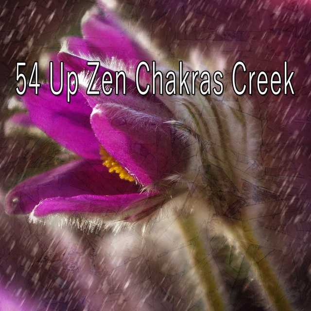 54 Up Zen Chakras Creek