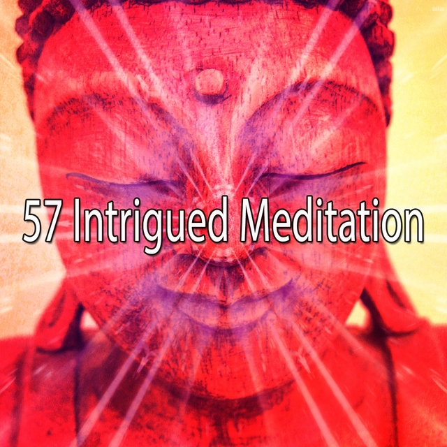 57 Intrigued Meditation