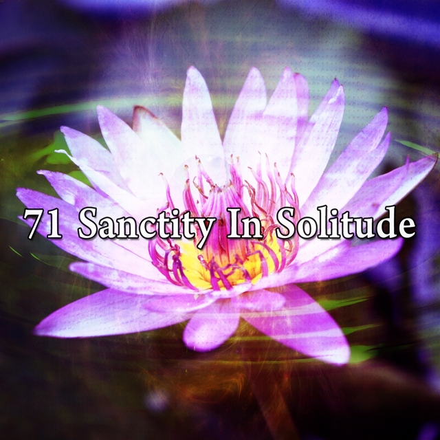 71 Sanctity in Solitude