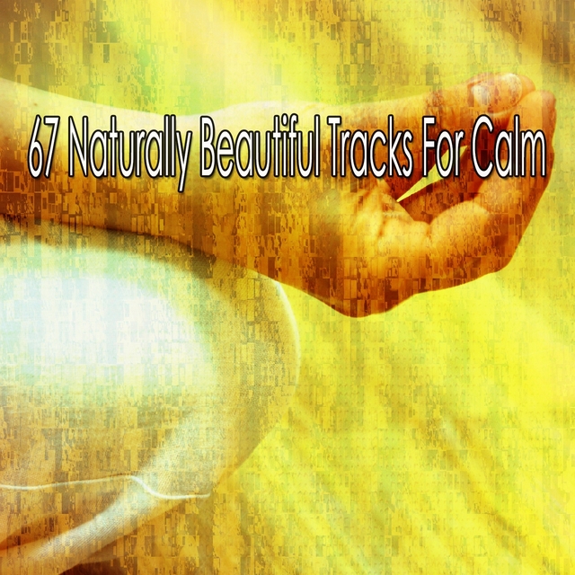 67 Naturally Beautiful Tracks for Calm