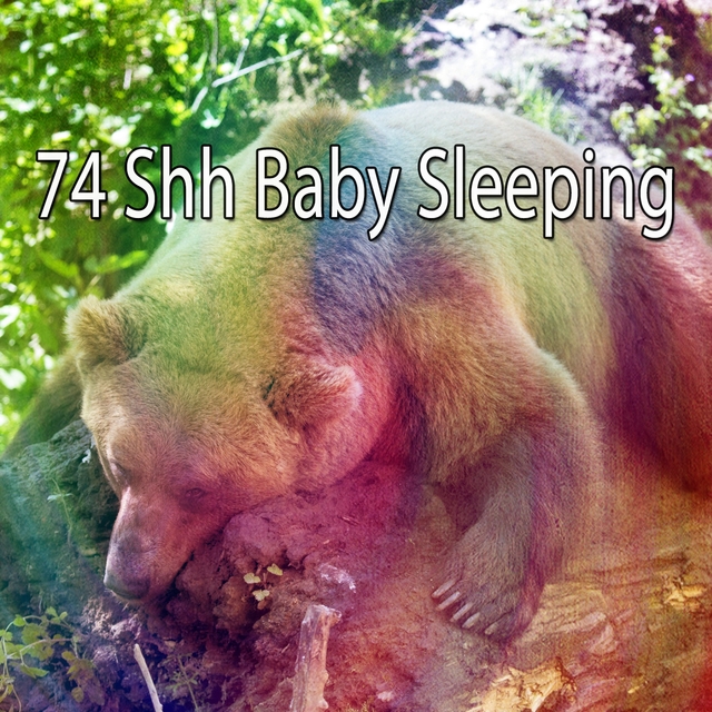 74 Shh Baby Sleeping