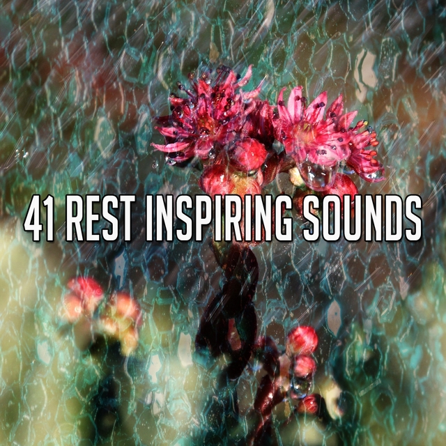 41 Rest Inspiring Sounds