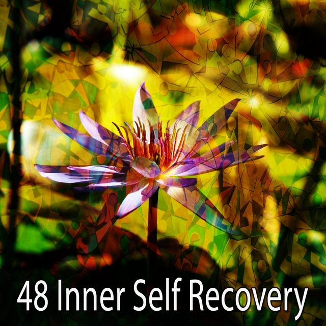 48 Inner Self Recovery