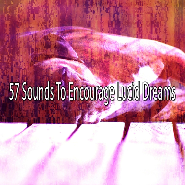 57 Sounds to Encourage Lucid Dreams