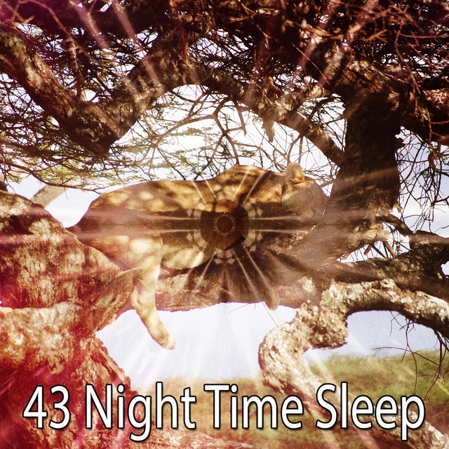 Couverture de 43 Night Time Sleep