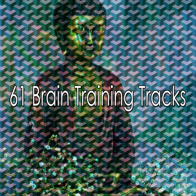 Couverture de 61 Brain Training Tracks