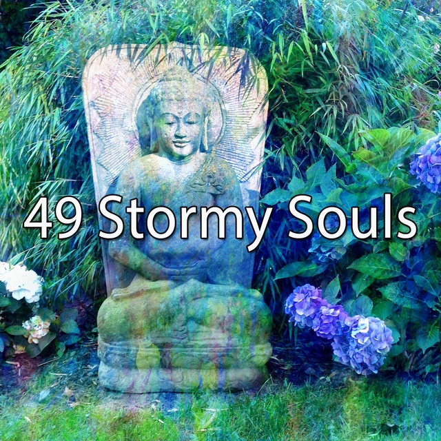 49 Stormy Souls