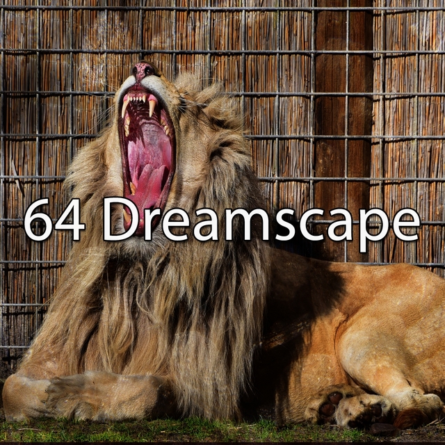 64 Dreamscape