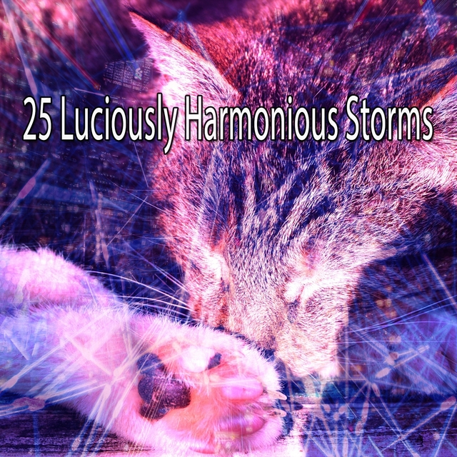 25 Luciously Harmonious Storms