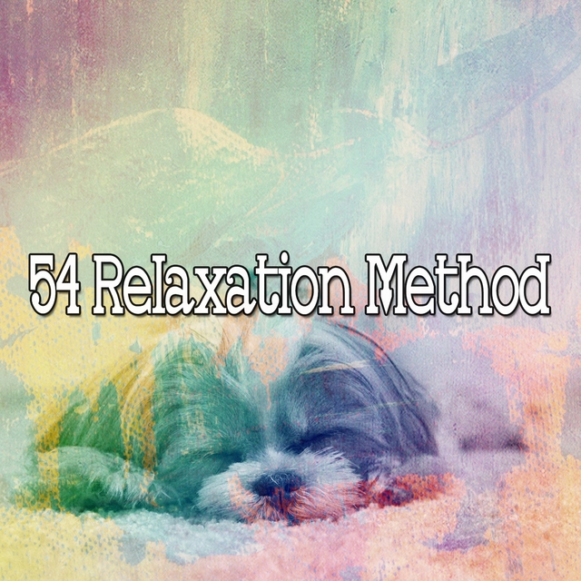 54 Relaxation Method