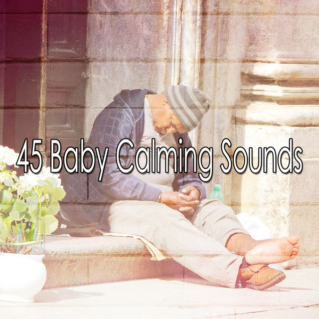 45 Baby Calming Sounds