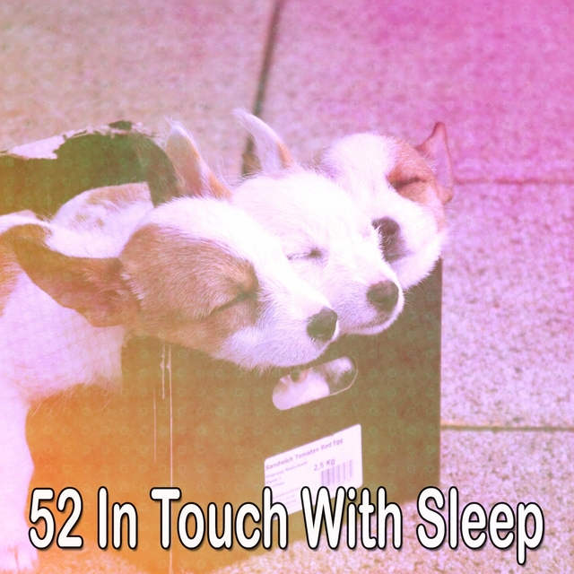 52 In Touch with Sleep